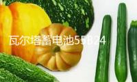 瓦爾塔蓄電池55B24RS適配豐田威馳08款賽歐五菱宏光汽車電瓶 藍標