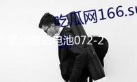 瓦爾塔蓄電池072-20適配途觀邁騰新帕薩特C5標致508汽車電瓶 藍標