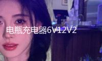 電瓶充電器6V12V24V大功率多功能純銅通用型蓄電池汽車電池充電機
