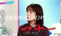 電瓶充電器12V24V汽車船用貨車智能純銅大功率充滿自停水電瓶通用