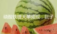 磷酸鐵鋰大單頻現，巨子鎖單加快職業“洗牌” 