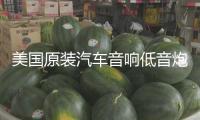 美國原裝汽車音響低音炮D類數字單路功放1500W雙音圈大功率功放板