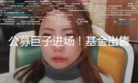 公募巨子進場！基金出售子公司迎第九位成員，易方達財富獲批