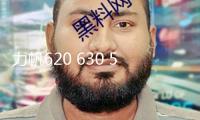 力帆620 630 520 530 720 X60邁威汽車改裝高中重低音響同軸喇叭