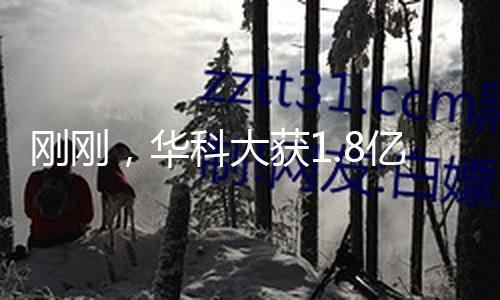 【網曝黑料吃瓜國產精品】大獲網曝黑料吃瓜國產精品