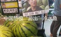 中國熱極“游出”冷水魚 
