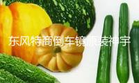 東風特商倒車鏡原裝神宇擎宇三環大運風度倒車鏡汽車反光鏡后視鏡