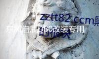 東風啟辰D60改裝專用內飾汽車用品裝飾配件中控儀表臺防曬避光墊