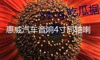 惠威汽車音響4寸同軸喇叭CF240II5寸CF250II同軸五菱面包車愛麗舍