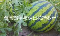 曝周鶴年與明日花綺羅產生一夜情！涉嫌性交易行為