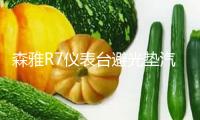 森雅R7儀表臺避光墊汽車內飾裝飾用品配件中控臺改裝防滑防曬墊