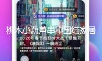 桃木小葫蘆串中國結家居客廳汽車掛件平安納福八寶葫蘆隨身攜帶