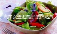 汽車頭蓋貼蝎子裝飾貼汽車貼紙機蓋貼拉花蝎子改裝刮痕車身貼紙