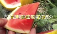 汽車音響中音喇叭中置外置家用環(huán)繞前后雙喇叭2.5寸中音喇叭改裝