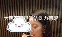 大唐黃梅縣清潔動力有限公司違規被罰32萬元 