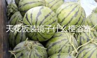 天花板裝鏡子什么梗浴室裝把手