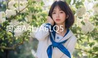 奧迪A4L/A6LQ5Q7保時捷卡宴大眾途銳原裝風帆蓄電池110AH汽車電瓶
