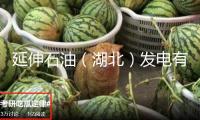 延伸石油（湖北）發(fā)電有限公司被罰35萬，未按規(guī)則處理工程質(zhì)量監(jiān)督手續(xù) 