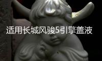 適用長城風駿5引擎蓋液壓桿改裝風駿6/7 c50 M4炫麗C30 H3 H5支撐