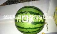 適用馬自達3昂克賽拉儀表盤裝飾改裝車內儀表面框掉漆cx4爆改配件