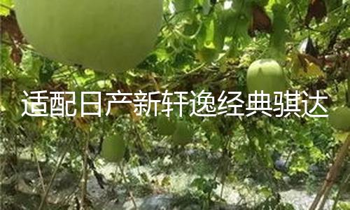 【暗黑爆料最新合集】