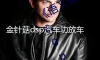 金針菇dsp汽車功放車載音頻處理器無損改裝4進6出大功率音響低音