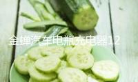 金蟬汽車電瓶充電器12v24v大功率專用200a全自動智能小車通用型60
