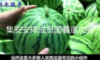 集安安排成員國著重加強團體應對外部要挾 