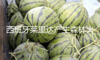 西班牙萊里達(dá)產(chǎn)生森林火災(zāi) 已焚毀超400公頃土地 