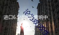 進口6.5寸汽車音響中重低音發燒車載喇叭改裝適用于邁騰別克等車