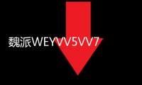 魏派WEYVV5VV7VV6儀表盤中控臺避光墊改裝配件汽車內裝飾防曬用品