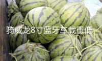 騎威龍8寸藍牙車載重低音炮汽車音響12v24v220v家用插卡電腦音箱