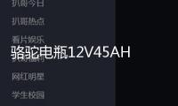 駱駝電瓶12V45AH適配長安面包車五菱宏光S/榮光V/軒逸汽車蓄電池