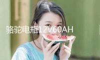 駱駝電瓶12V60AH適配長(zhǎng)安逸動(dòng)悅翔睿騁志翔蓮花汽車蓄電池L2350