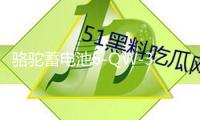 駱駝蓄電池6-QW-36適用于本田飛度哥瑞理念鋒范鈴木奧拓汽車電瓶B