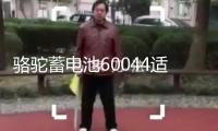 駱駝蓄電池60044適用路虎攬勝寶馬7系奔馳S級12V100AH汽車電瓶