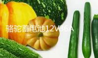 駱駝蓄電池12V36AH汽車電瓶適配鈴木奧拓鋒范背機旋耕機三輪車1DF