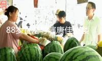 88歲香港導(dǎo)演唐佳墜樓身亡！現(xiàn)場慘烈身首異處，初判因妻病重自殺 