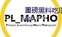 16-21款新騏達中網外觀改裝配件2021前臉專用裝飾水箱防蟲網用品