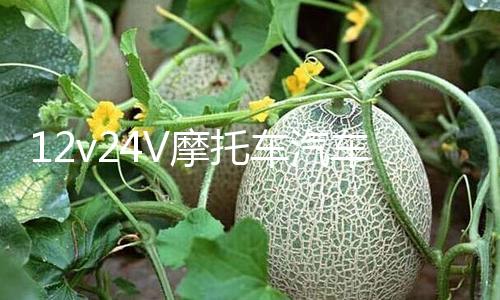 【91黑料不打烊吃瓜爆瓜】