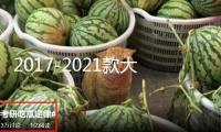 2017-2021款大眾途觀L原廠款中控儀表臺儲物盒內飾改裝配件裝飾蓋