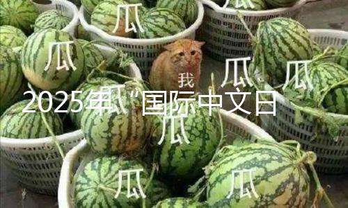 2025年“国际中文日”活动在埃及举办