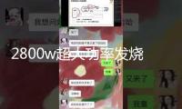 2800w超大功率發(fā)燒級炸街重低音純低音車載無源雙音圈低音炮功放