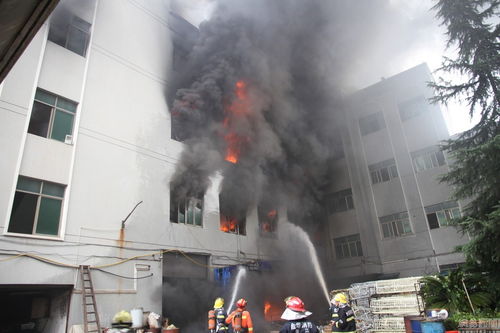 義烏塑料制品廠突發大火，現場濃煙滾滾如焦炭
